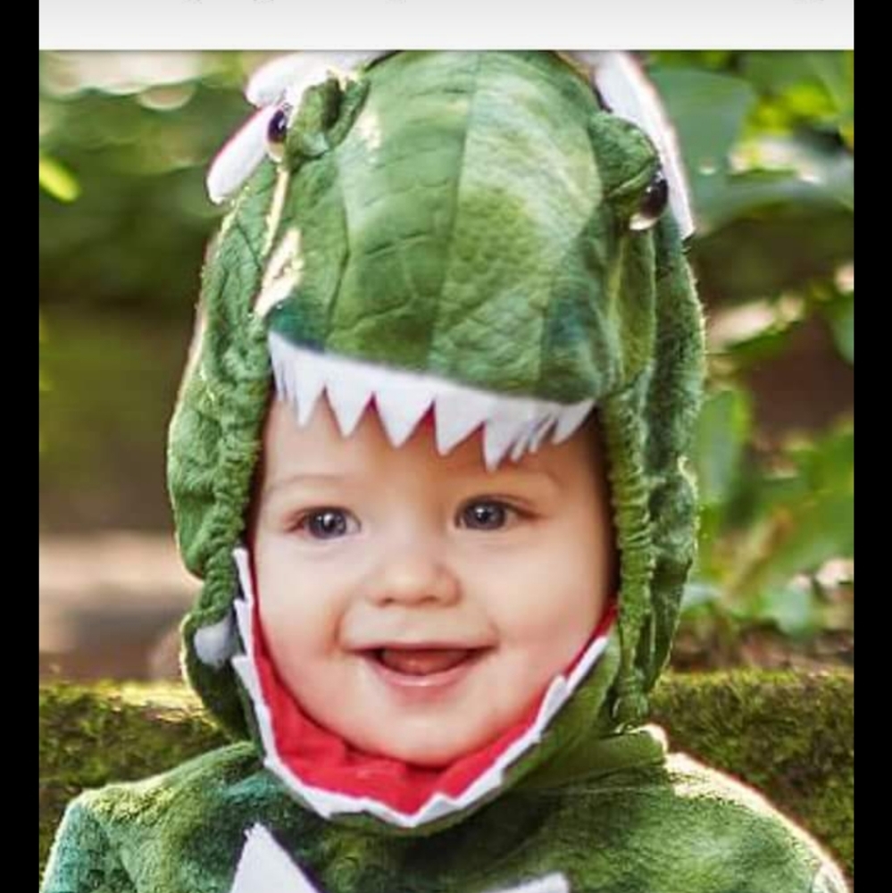 Dinosaur Pottery Barn costume